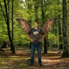 California Costumes Eagle Bird Of Prey Costume Wings | One Size Fits Most - 4 of 4