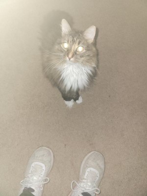 Guest review image 1 of 2, zoom in