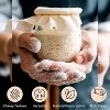 Living Dough Paleo Sourdough Starter – Active Organic, Live Culture for Artisanal Baking: Bread, Pizza, Waffles, Pancakes & More - 3 of 4