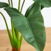 Nearly Natural 3.5-ft Artificial Arrowhead Philodendron in White Decorative Planter - 3 of 4