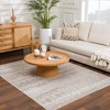 Hauteloom Tupsan Washable Area Rug - 4 of 4