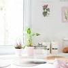 Amici Home Stockholm Glass Round Canister, Food Safe, Push Top Lid with Gasket, Airtight, For Storage, Dry Goods Container, 36 oz. - 4 of 4