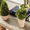Plum & Post Boxwood Topiaries Faux (Fake) In Pots Set of 5 - 4 of 4