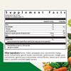 Floradix Magnesium - Liquid Herbal & Mineral Supplement for Bone Support, Digestive Health & More - Vegetarian, Non-GMO - 2 of 4