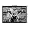 Amanti Art Highland Cow Staring Contest by Nathan Larson Canvas Wall Art Print Framed 23 x 16-in. - 4 of 4