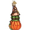Old World Christmas Glass Blown Ornament for Tree, Fall Harvest Gnome - 3 of 4