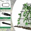 Cucumber Trellis, A-Frame Garden Trellis for Climbing Plants, 4ftx 4ft Metal Trellis Outdoor Support Fruit Vegetable - 2 of 4