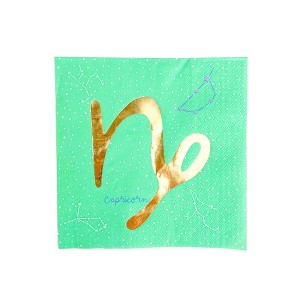 Jollity & Co. - Zodiac Capricorn Large Napkins - Pack of 16 Paper Napkins - 1 of 3