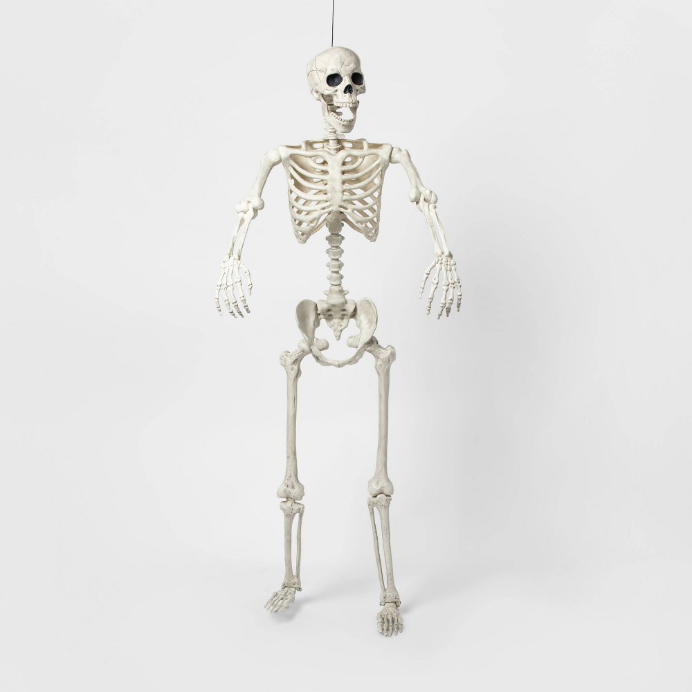 Halloween 60" Posable Lifesize Skeleton XL Halloween Decorative Mannequin - Hyde & EEK! Boutique