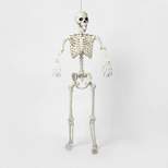 60" Posable Skeleton Halloween Decorative Mannequin - Hyde & EEK! Boutique™