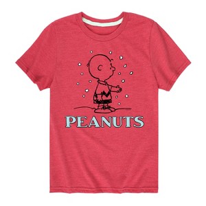 Boys' - Peanuts - Charlie Snow Short Sleeve Graphic T-Shirt - 1 of 4