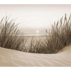Veer Decor Beach Sunset Wall Mural - 1 of 2