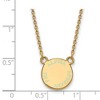 Black Bow Jewelry 14k Yellow Gold Plated Sterling Silver Alpha Epsilon Phi Greek Life Necklace 18 Inch - 2 of 4