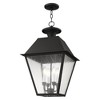 Livex Lighting Mansfield 4 - Light Pendant in  Black - 4 of 4