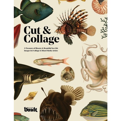 Extraordinary Things to Cut Out and Collage Activity Book - Paperback: Beautiful & Hight Quality Images and Illustrations for Collage Lovers and Mixed