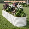 COZONY Galvanized Raised Garden Bed, Tall Metal Planter Box for Vegetables, Flowers and Herbs - 4 of 4
