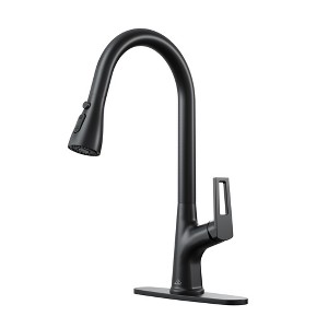 CASAINC Single Handle Kitchen Faucet - 1 of 4