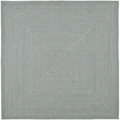 Braided BRD170 Hand Woven Area Rug  - Safavieh
