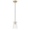 Kira 1-Light Pendant - Slim Clear Glass & Steel Design, Dimmable, 60W, 5"x8" - 4 of 4