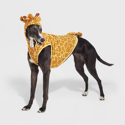 Greyhound costumes best sale