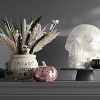10" Large Plated Skull Halloween Decorative Prop - Hyde and EEK! Boutique™ - 2 of 3