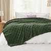 Bedsure | Cute Soft Cozy Checkered Throw Blanket for Couch - 2 of 4