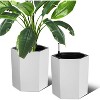 16 Inch Tall Outdoor Planters Set of 2, Self Watering Pots for Indoor Plants with Water Level Monitor & Drainage Hole & Wheels - 2 of 4