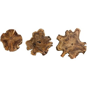 Uttermost Kalani Panels Natural Teak Wood 3-Piece Wall Art Set - 1 of 2