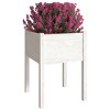 Garden Planters 2 pcs White 50x50x70 cm Solid Pinewood - 3 of 4