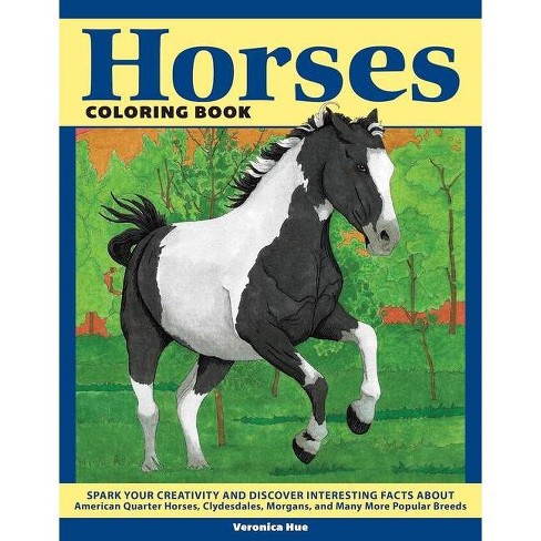 coloring book pages of horse