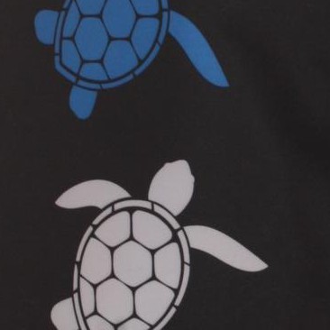 black - bright turtles