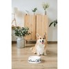 Amici Pet Ceramic Paws Off Dog Bowl - image 2 of 4