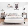 Metal Platform Bed Frame, Noise Free Mattress Foundation with Storage Space, Anti Sliding Heavy Duty Steel Slats, Easy to Assemble - 3 of 4