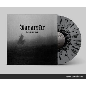 Vananidr - Beneath The Mold - Black & Grey Splatter (Vinyl) - 1 of 1