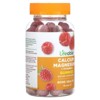 Lifeable Calcium Magnesium and Vitamin D Gummies - Great Tasting Natural Flavor Vitamin Supplements - Gluten Free GMO Free Chewable - for Bone Health - 4 of 4