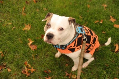 Guest review image 1 of 3, zoom in