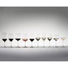 Riedel 14 fl oz (Set of 2) Veritas Riesling Wine Glasses - 4 of 4