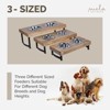 Mela Artisans Vanjari Elevated Pet Feeder - Medium - 4 of 4