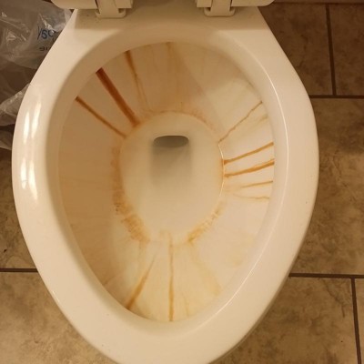 Guest review image 2 of 2, zoom in
