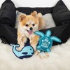 Pavilion Gift Company - Whale-y Loved - 8" Canvas Dog Toy on Rope - Pet Toy - 3 of 4