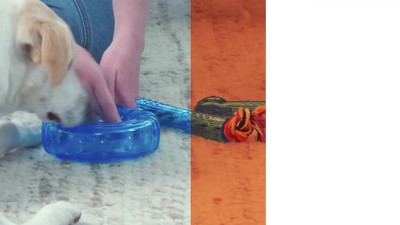 Petstages Orka Dental Links Blue and Yellow Chew Toy