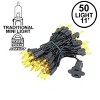 Novelty Lights 50 Light Incandescent Mini Christmas String Lights Black Wire 11 Feet - 4 of 4
