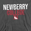 Newberry College Official Stacked Adult Pull-Over Hoodie - 2 of 4