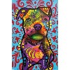 Trends International Dean Russo - Pittie Pup Unframed Wall Poster Prints - 4 of 4