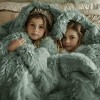 Bedsure | PV Fleece Blanket  a Chic Addition with Brushed Longfur - 2 of 4