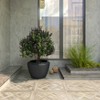LeisureMod Round Planter Pot in Fiberstone with Drainage Holes for Indoor and Outdoor Vessel Collection in Black - 3 of 4