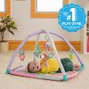 Bright Starts Wild Wiggles Sweet Safari FoldAway Activity Gym - 2 of 4