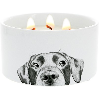 Pavilion Gift Company - Dog - 10 oz - 100% Soy Wax Reveal Triple Wick Candle Scent: Tranquility - Flame Candles