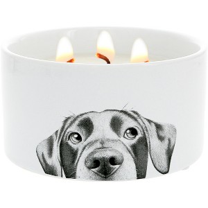 Pavilion Gift Company - Dog - 10 oz - 100% Soy Wax Reveal Triple Wick Candle Scent: Tranquility - Flame Candles - 1 of 4