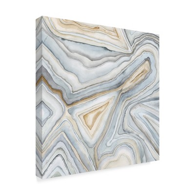 Trademark Fine Art -Megan Meagher 'Agate Abstract I' Canvas Art